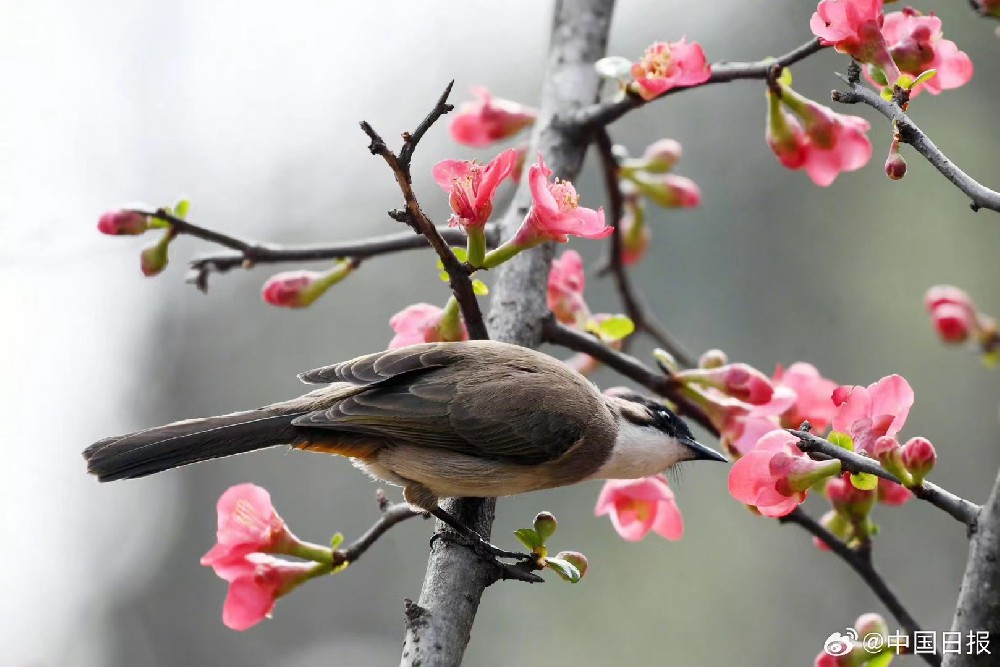 易科讯AOI检测设备学会弯腰